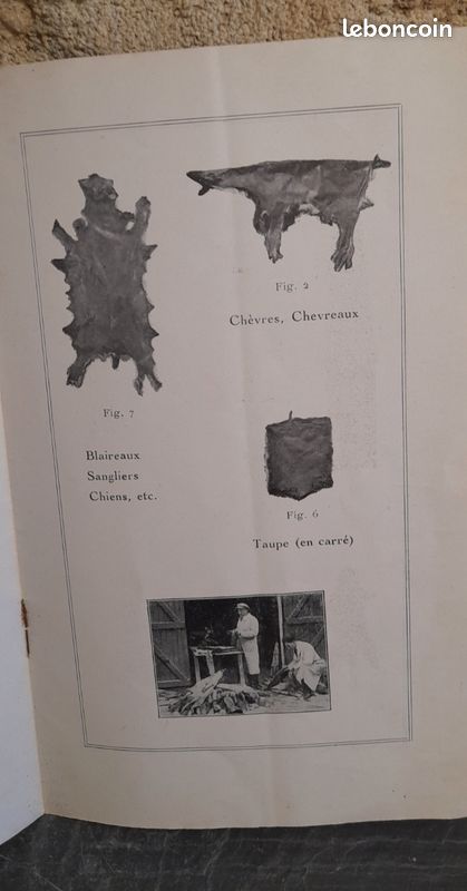Livre ancien LES SAUVAGINES RICHARD MILLET (image 6)