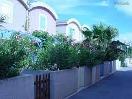 Location maison gruissan (image 8)
