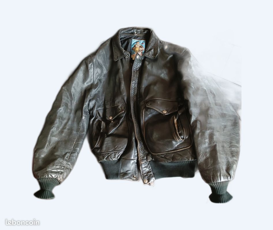 Blouson cuir homme collector (image 1)