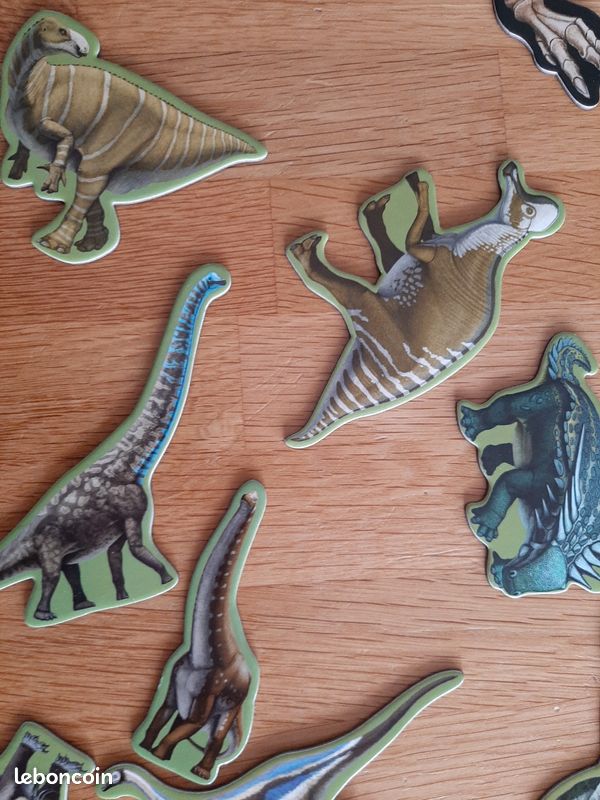 Dinosaures magnétiques plateau +livre (image 16)