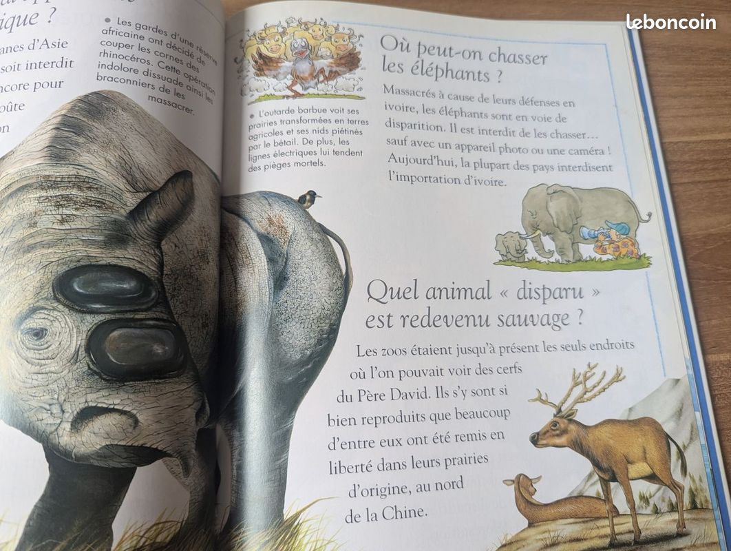 Questions/réponses - 6/9 ans - Le corps humain - Les animaux menacés (image 5)