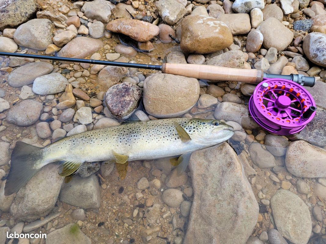 Stage de pêche à la mouche (image 4)