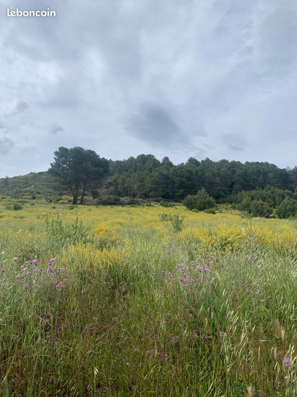 Terrain agricole · à Tautavel · 12 000 €