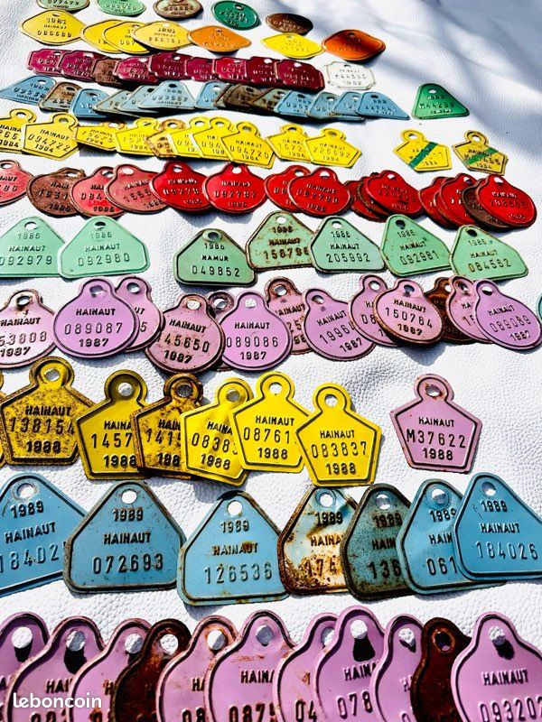 Plaques D'immatriculation Vélo Vintage - Set De 2 Pour Décoration Murale Ou Affichage
