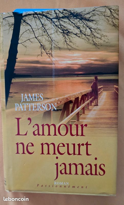 Livre L'amour ne meurt jamais de James Patterson (image 2)