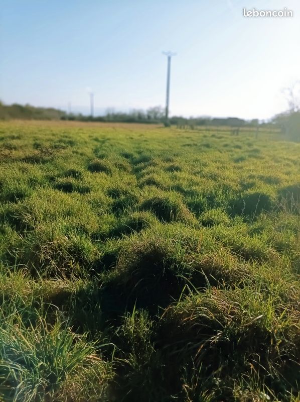 Terrain à vendre sur la commune de sarriac de Bigorre (image 1)