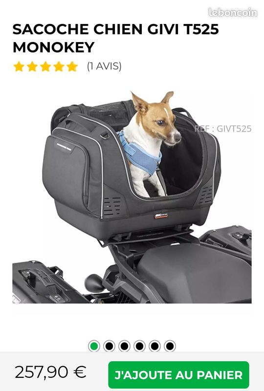 Top-case pour chien Équipement moto
