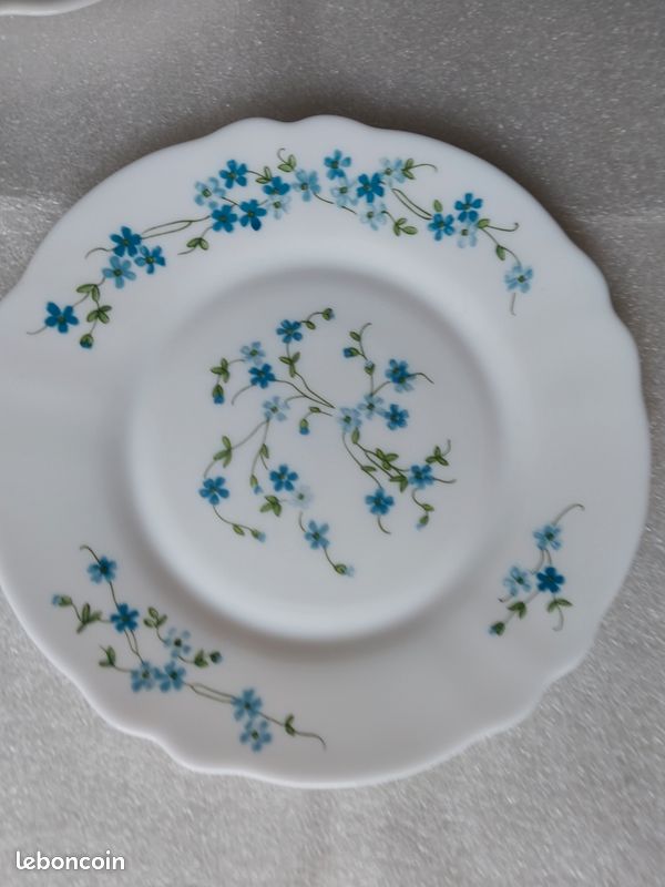 Service desserts ARCOPAL myosotis (image 2)
