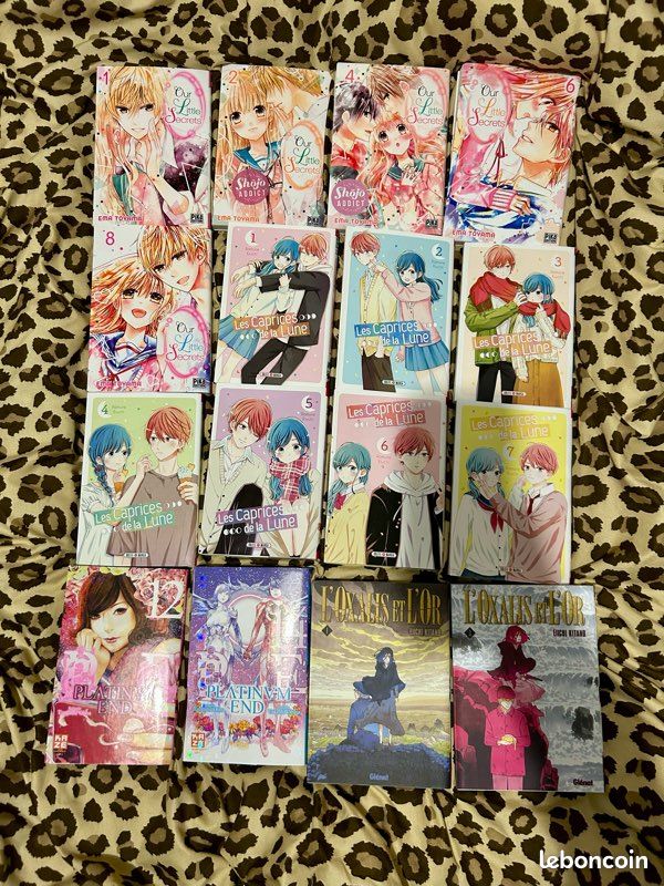 Mangas romance 4 l’unité (image 2)