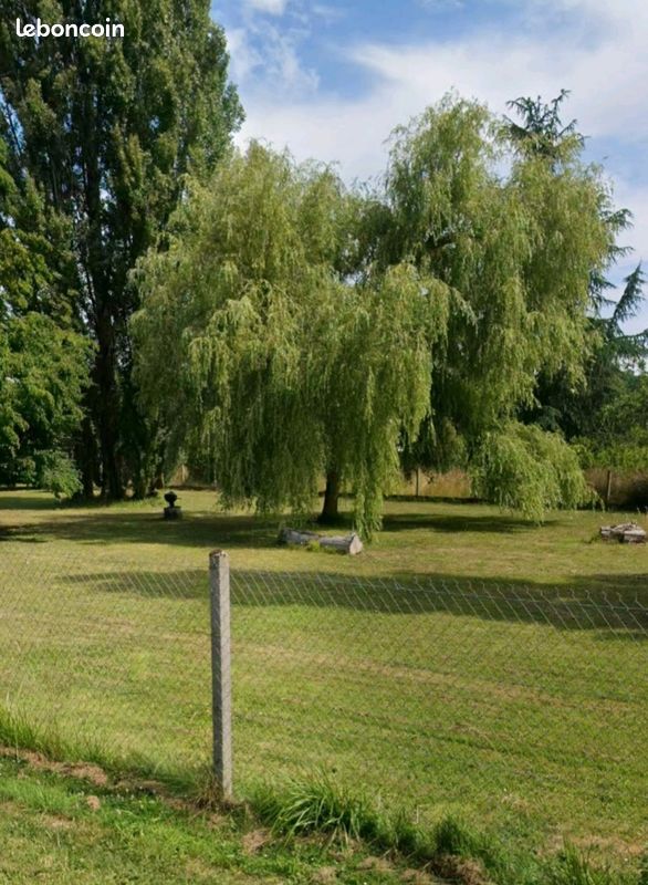 Maison Douy (image 3)