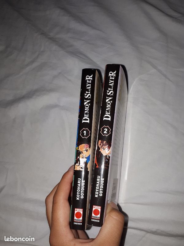 Tome 1 et tome 2 de demon slayer (image 2)