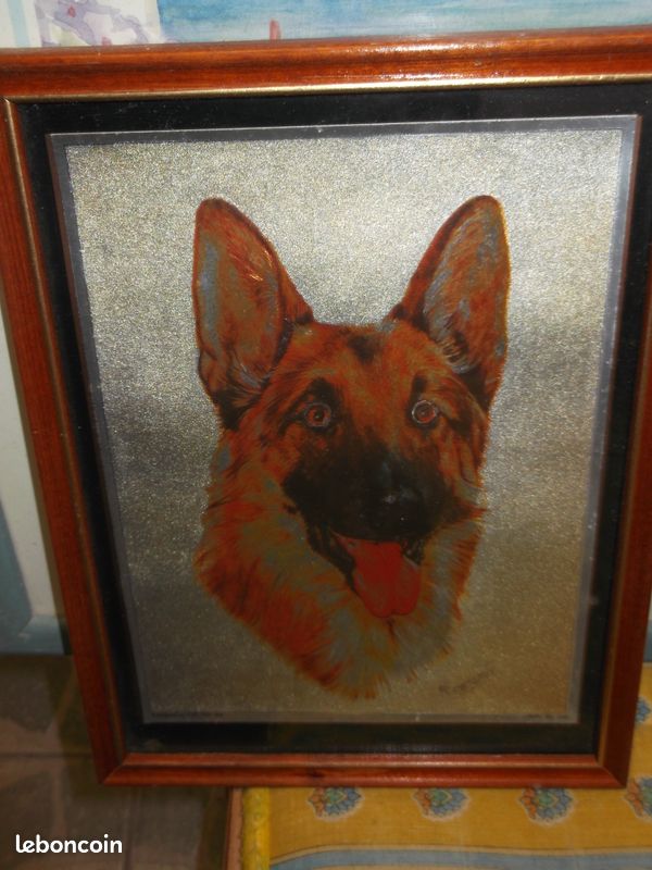 Cadre chien LD78 (image 1)