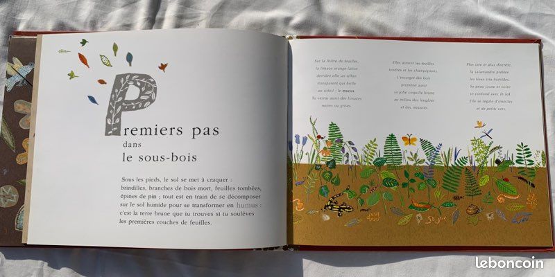 Livre d’activité Sous-Bois (image 4)