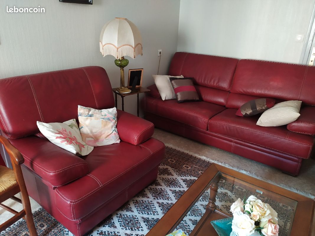 Salon en cuir (image 1)