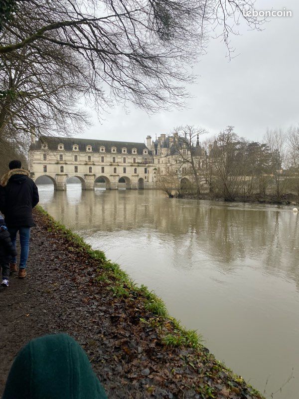 Gite 4 pers proche châteaux, zoo beauval au coeur de la campagne (image 15)