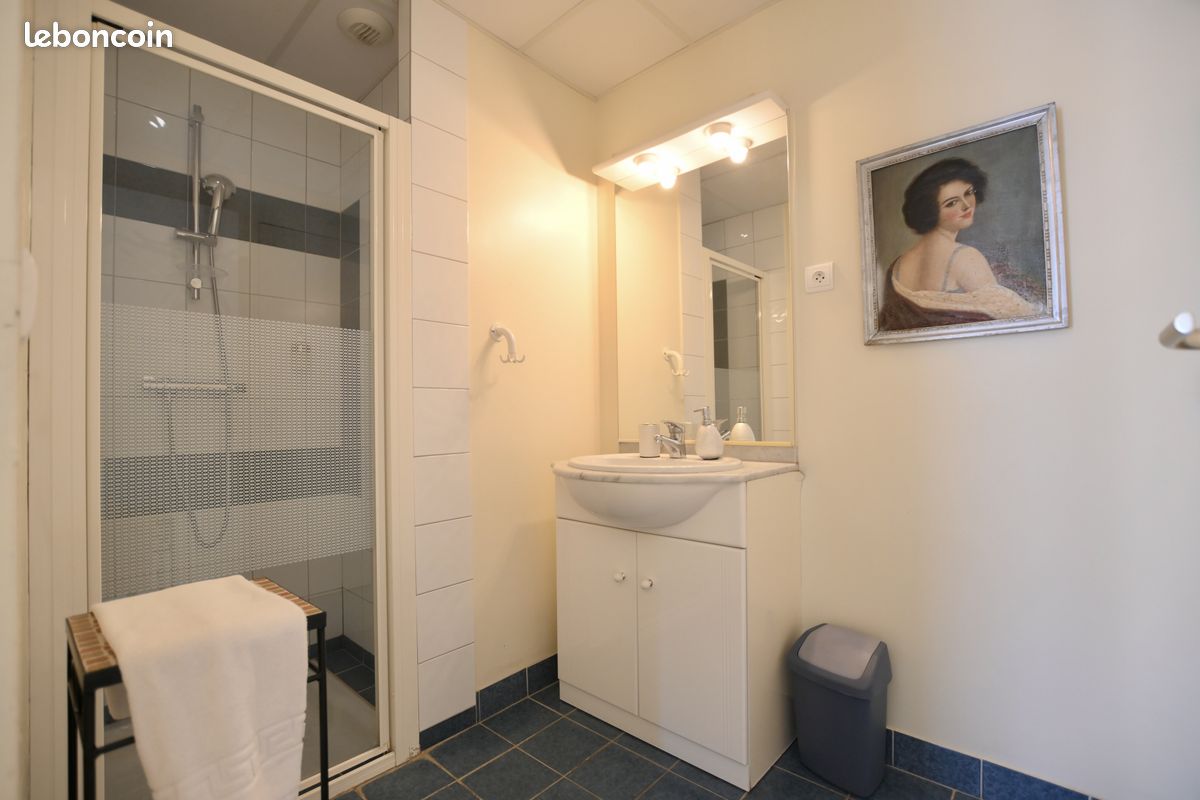 Propriété 12 pièces 345 m² (image 13)