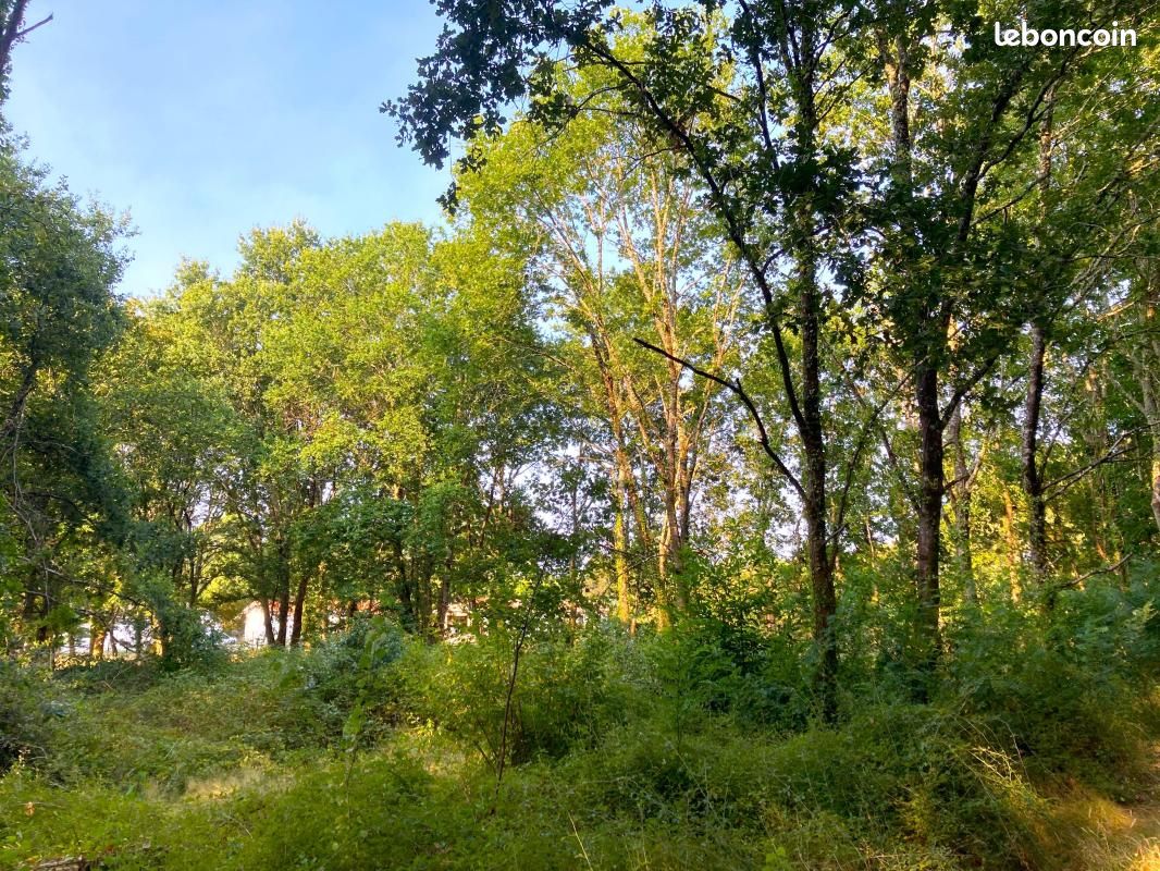 Terrain 913 m² Morcenx La Nouvelle · à Morcenx-la-Nouvelle · 34 100 €