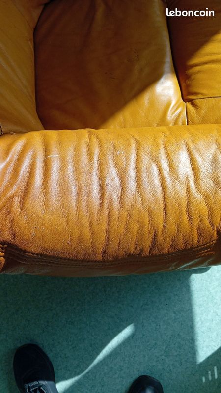 Fauteuil Cuir (image 4)