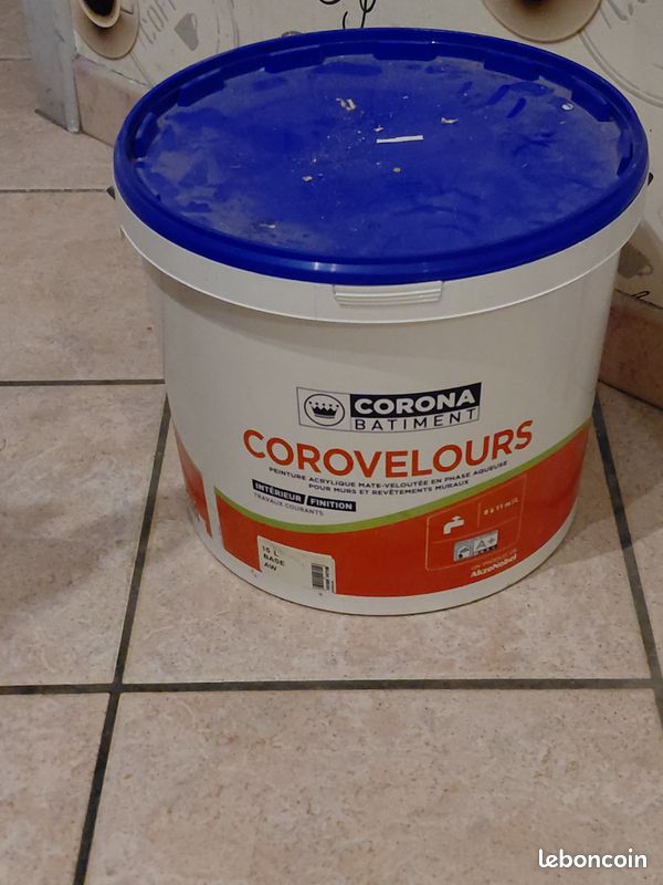 Peinture corovelours (image 1)