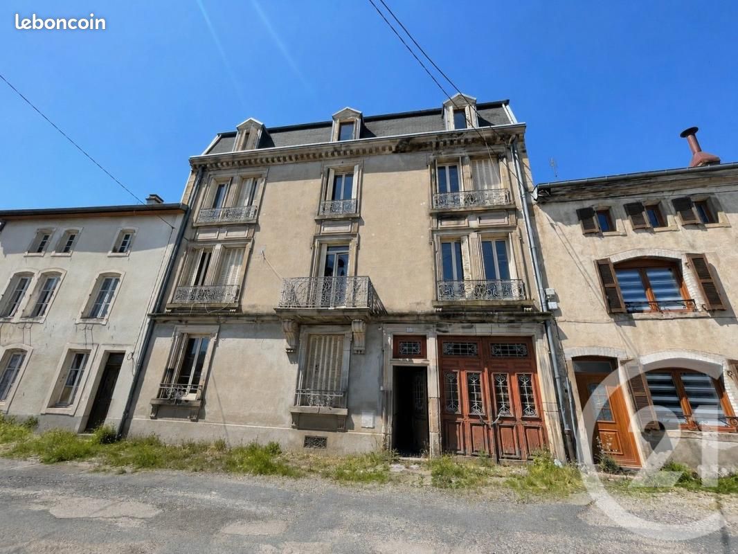Immeuble 370 m² Rambervillers (image 1)