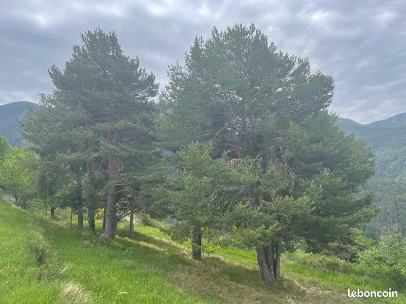 Maison 2 pièces 36 m² · à Tende · 36 m² · 120 000 €