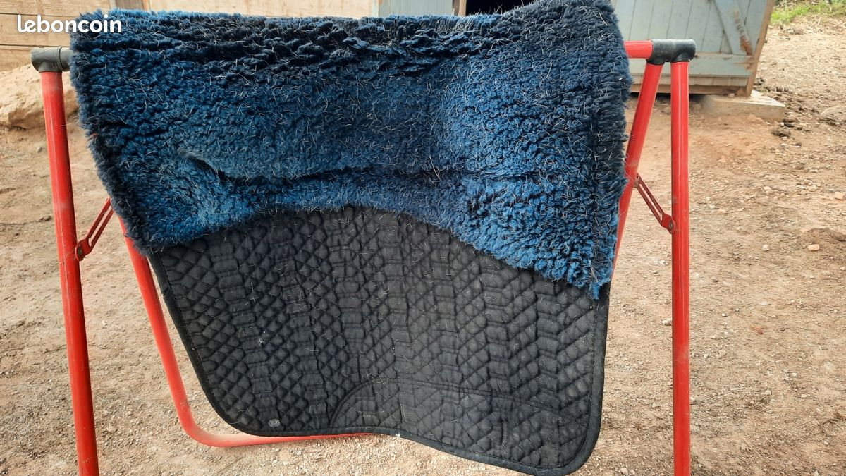CHAMP D Tapis Dressage en Mouton Véritable Blanc & Naturel, 157,68