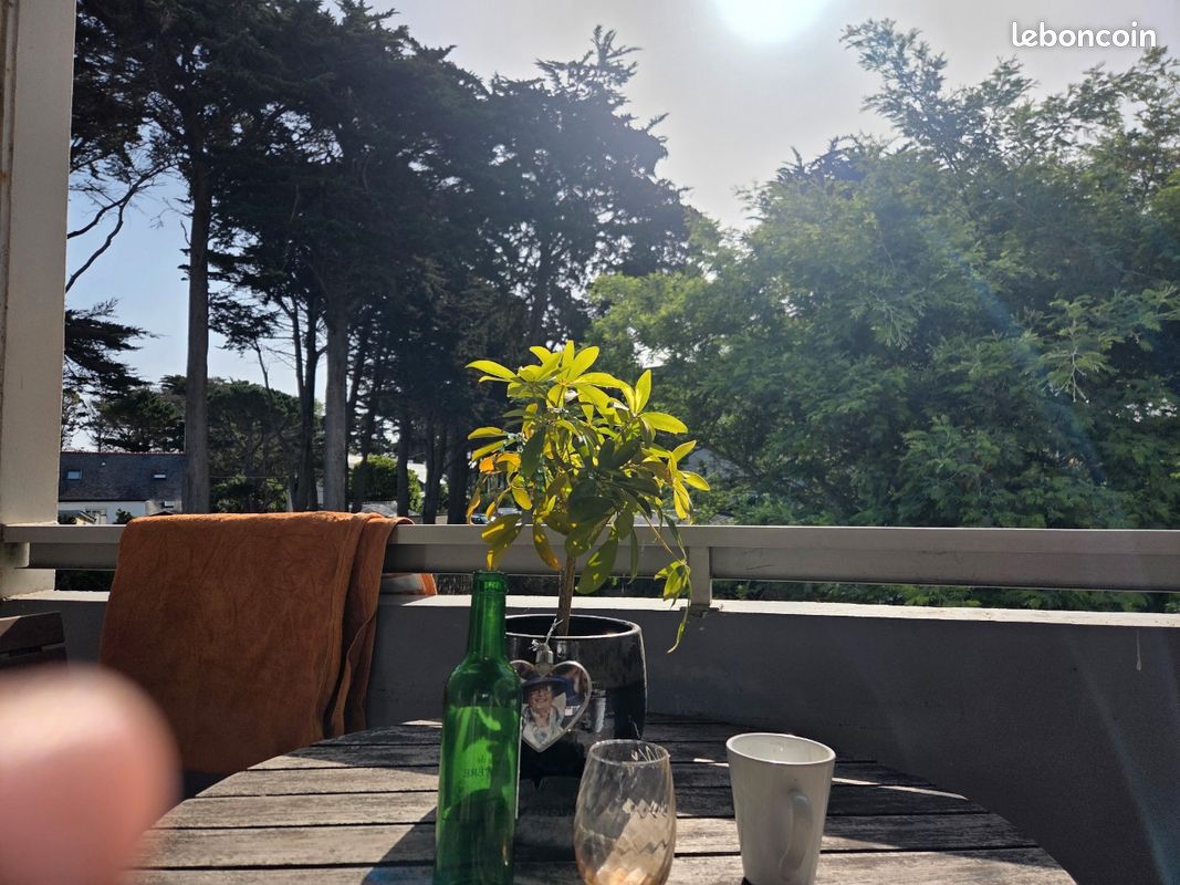 Appartement 1 pièce 21 m² · à Quiberon · 21 m² · 109 000 €