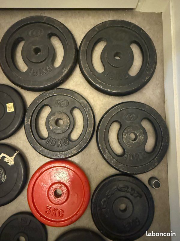 Disques Fonte DOMYOS 2x20kg - Caoutchouc Dur - Fitness Musculation - Occasion