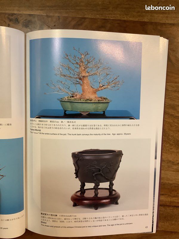 Livre de collection Bonsaïs Shohin et poteries japonaises (image 6)