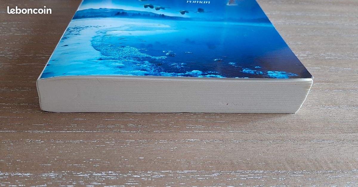 Sur la terre comme au ciel de Christian Signol (image 2)