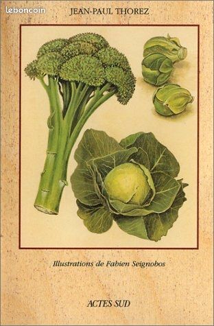 Chroniques du potager - Les choux (image 1)