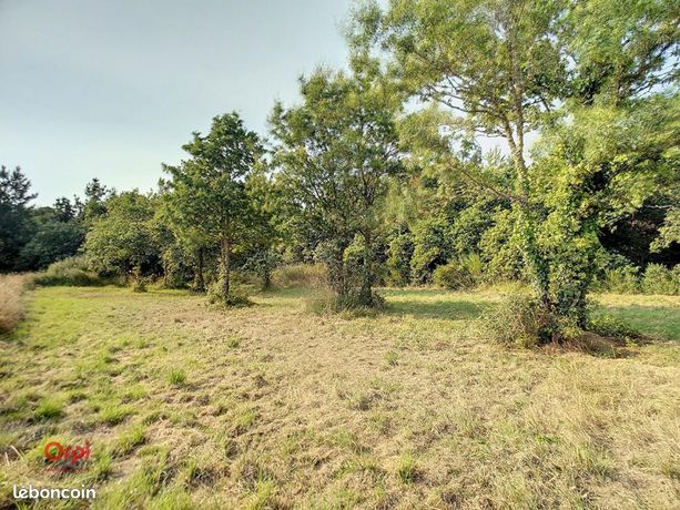 Terrain 3 000 m² La Turballe