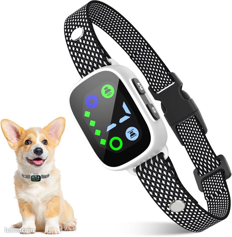 Collier chien neuf (image 1)