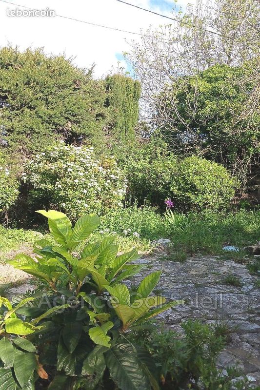 Villa 6 pièces 120 m² (image 3)