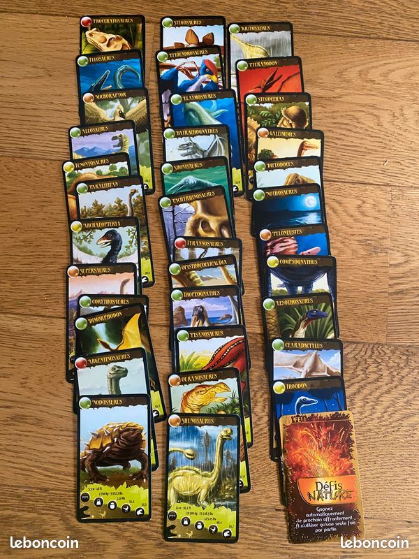 Jeux de cartes Bioviva : défi nature (animaux marins, Asie, dinosaures, énigmes) (image 6)