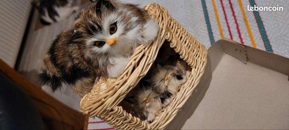 Chats mignons babiole (image 3)
