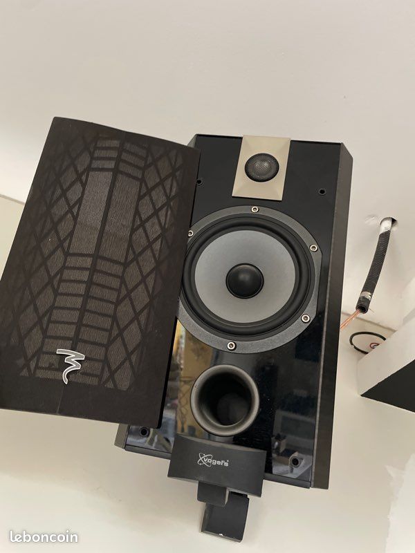 Enceinte arrière focal 806 (image 1)