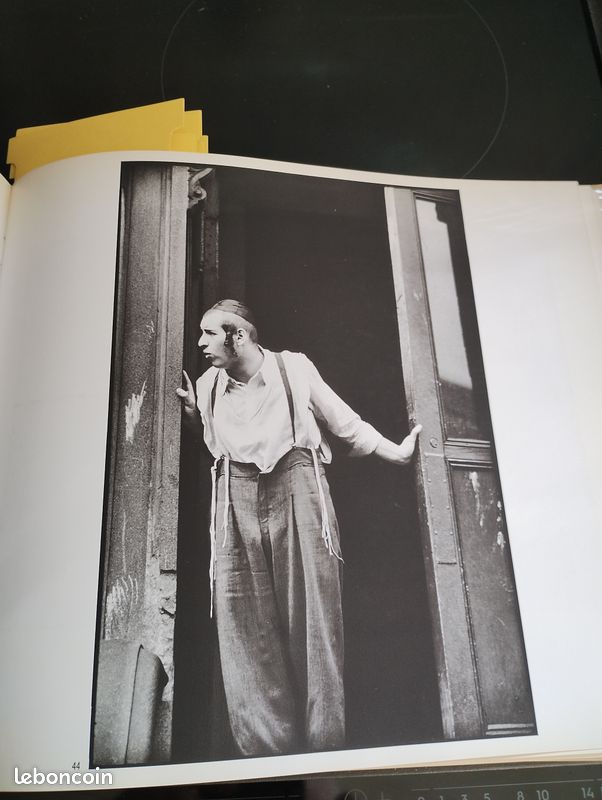 Livre Photos " la dance des fidèles" Léonard FREED (image 5)