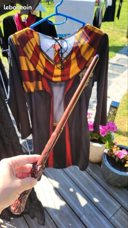 Déguisement enfant Harry Potter ou Hermione (image 9)