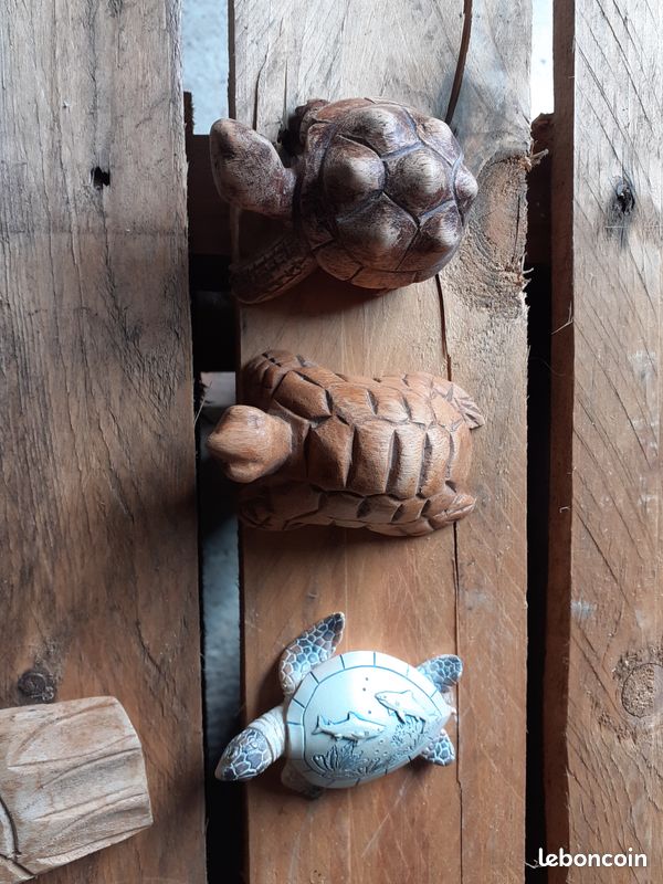 Tortues décoratives (image 3)