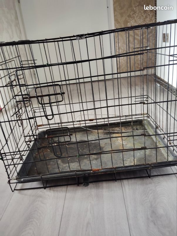 Cage pour lapin (image 2)