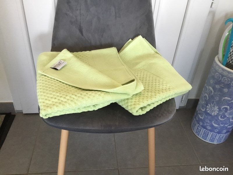 Tapis de bain neufs 60/90 Becquet (image 1)