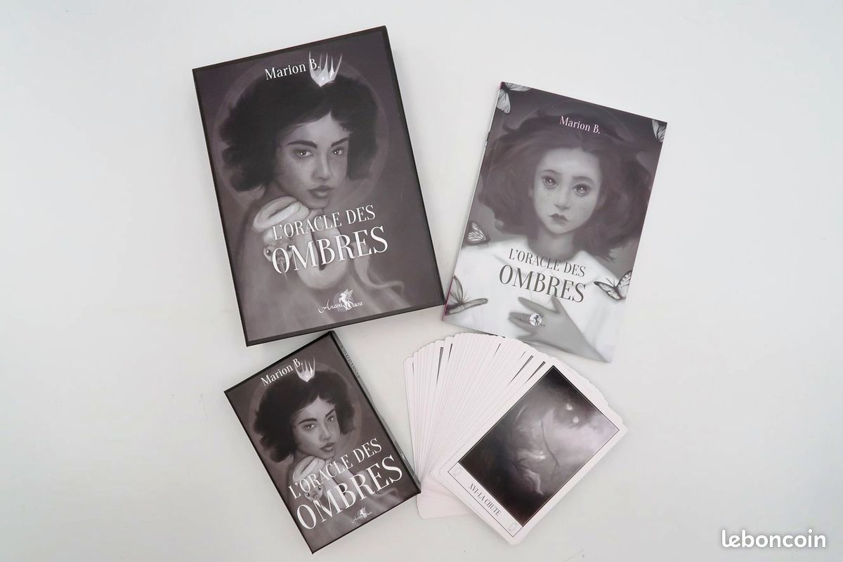 L'oracle des ombres - Coffret - Marion B (image 1)