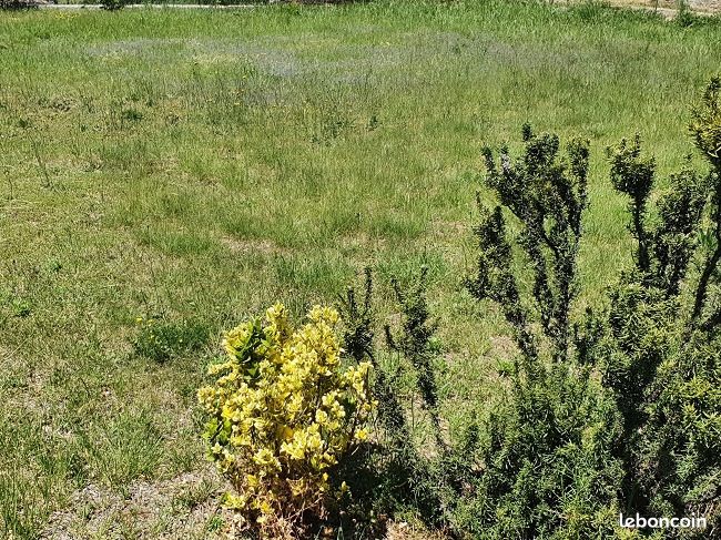 Terrain 200 m² Sainte Marie · à Sainte-Marie-la-Mer · 100 000 €