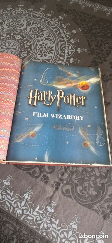 Harry Potter - : Harry Potter film wizardry (image 5)