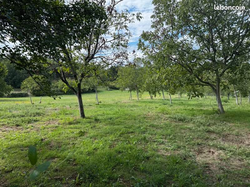 Terrain 4710 m² · à Saint-Cirq-Souillaguet · 32 000 €