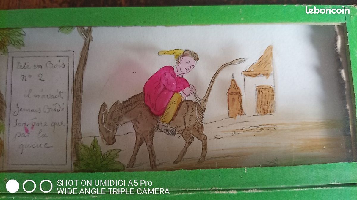 Lot De 11 Plaques De Verre Pour Lanterne Magique Ancienne - 19ème Siècle - Thème Belle Au Bois Dormant