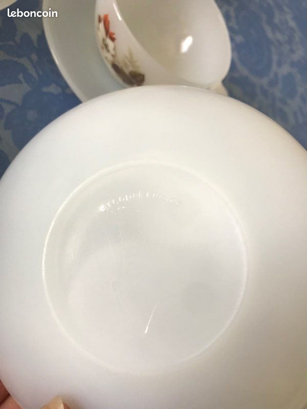 Service à Café/thé Vintage Arcopal Année 70 – Motif églantine, Grandes Tasses