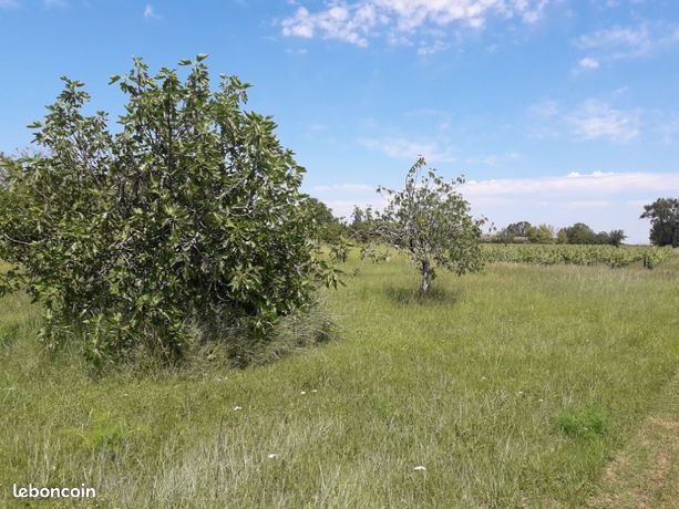 Terrain 1 100 m² Ayguemorte Les Graves