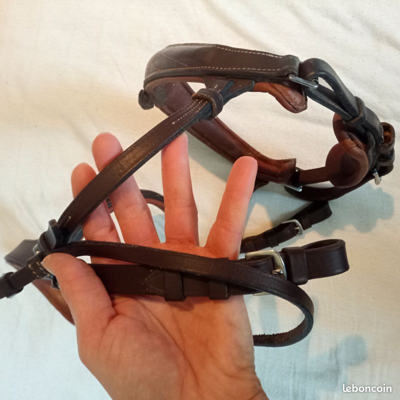 Support De Cheval Rembourré Premiera Deluxe - Cuir Marron Avec Nunn Finer